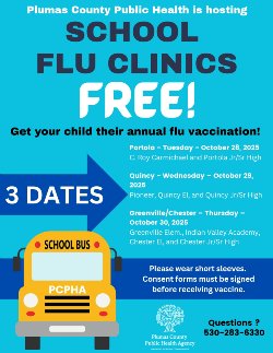 Flu vaccines English version